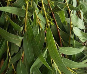 отрубевидный лишай лечение в домашних условиях