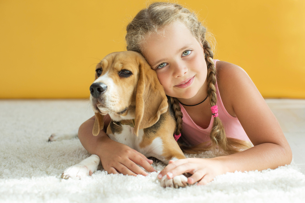 О чем говорит наука: как дружба с собакой продлевает жизнь